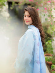 Powder Blue Floral Farshi Suit Set