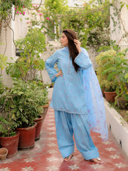 Powder Blue Floral Farshi Suit Set