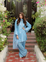 Powder Blue Floral Farshi Suit Set